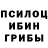 Псилоцибиновые грибы Magic Shrooms Jesus Top