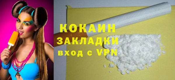 молекула духа Пестово