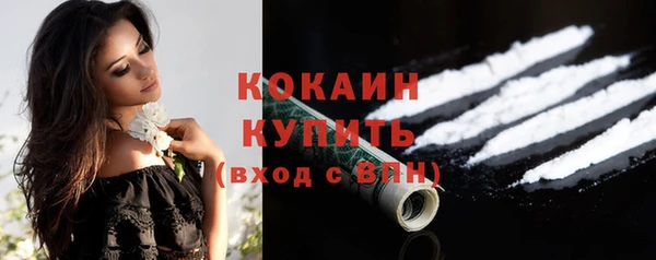 spice Пересвет