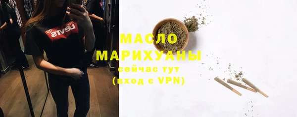 молекула духа Пестово