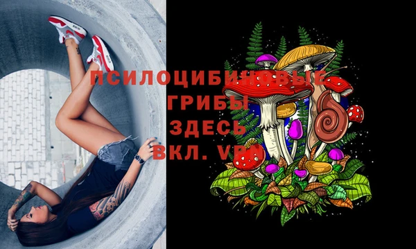молекула духа Пестово
