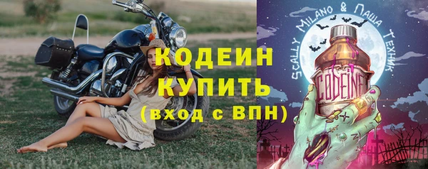 молекула духа Пестово