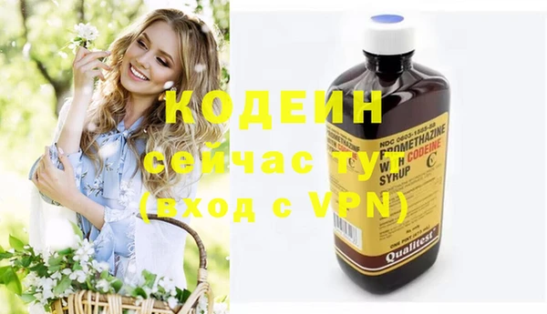 молекула духа Пестово