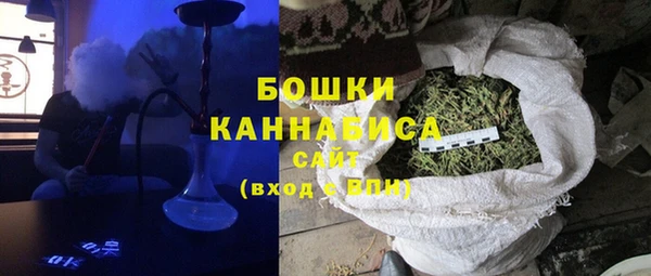 прущие грибы Абдулино