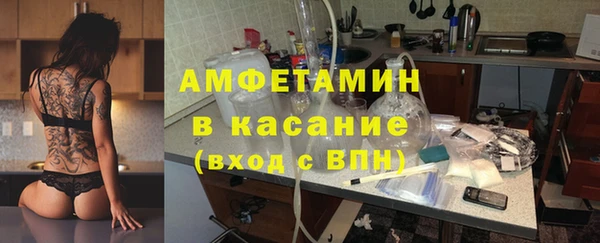 молекула духа Пестово