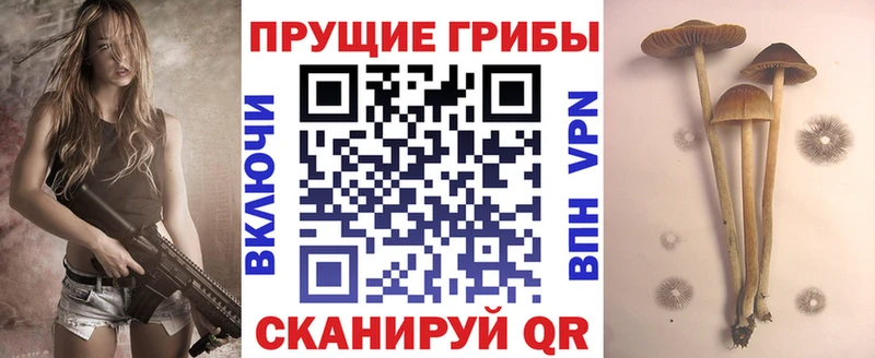 где можно купить   omg зеркало  Псилоцибиновые грибы мухоморы  Невельск 